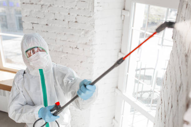 Best Post-Construction Mold Inspection  in Clawson, MI