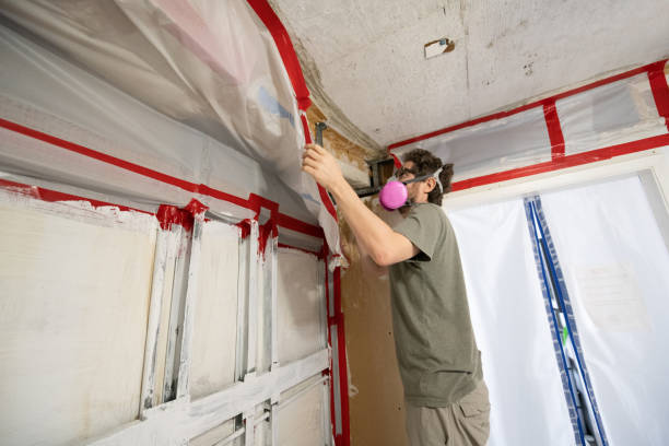 Best Commercial Mold Inspection  in Clawson, MI