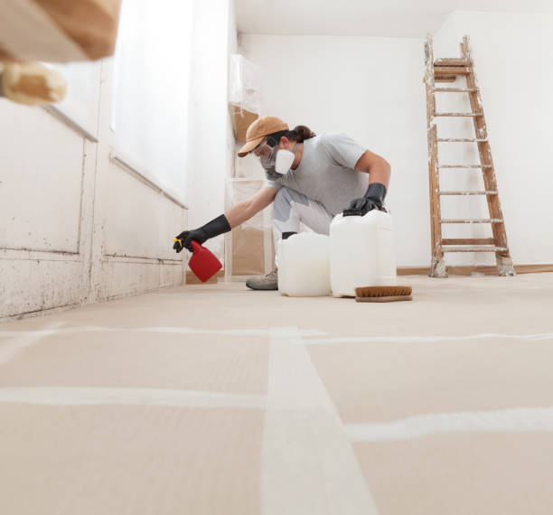 Forensic Mold Investigation in Clawson, MI